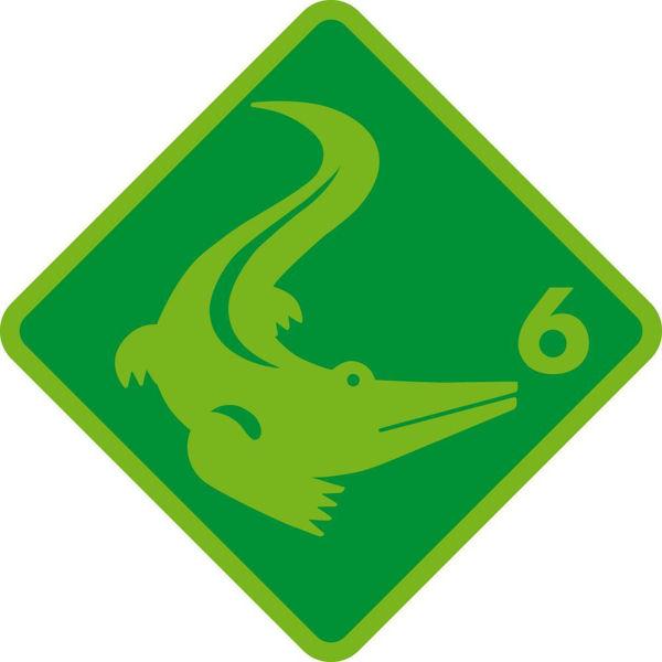Bild von Ferienkurs Krokodil